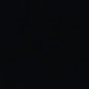 Meet your Posher, Anika